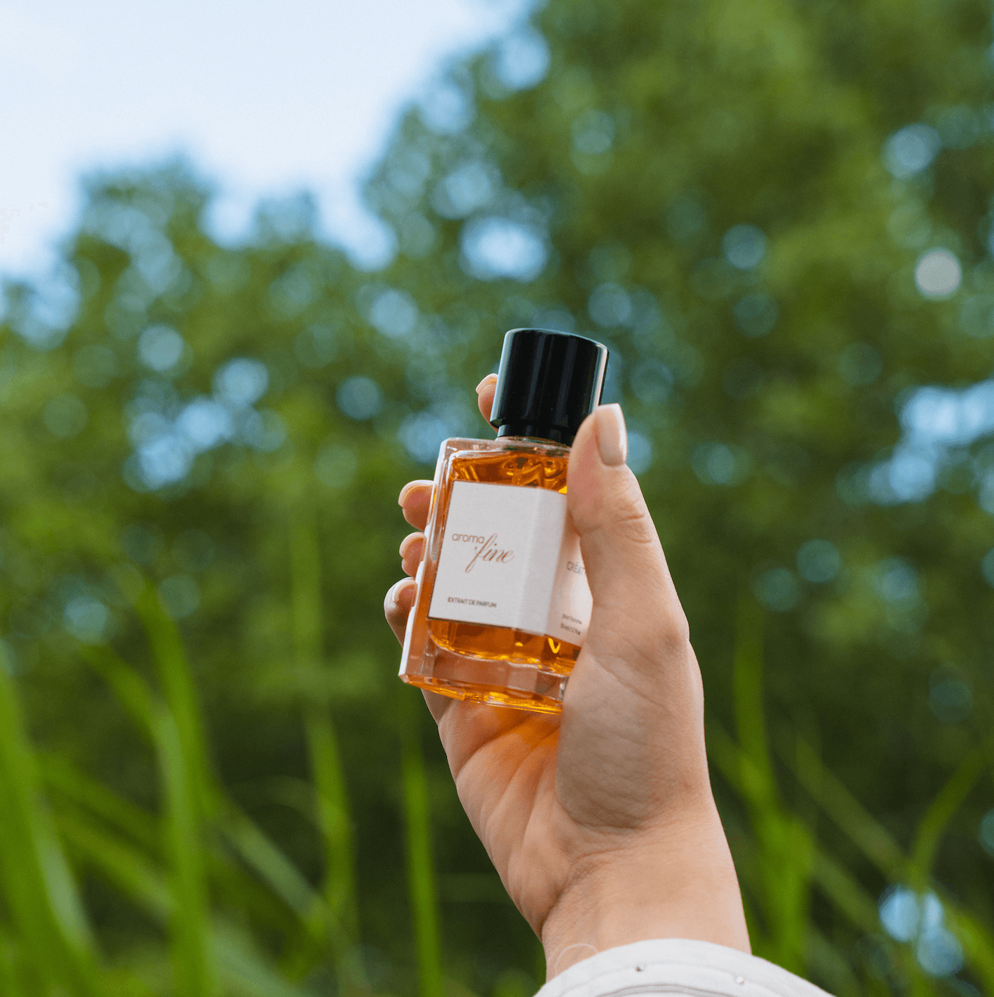 Parfuma të Ri